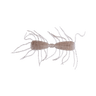 PILE SHRIMP