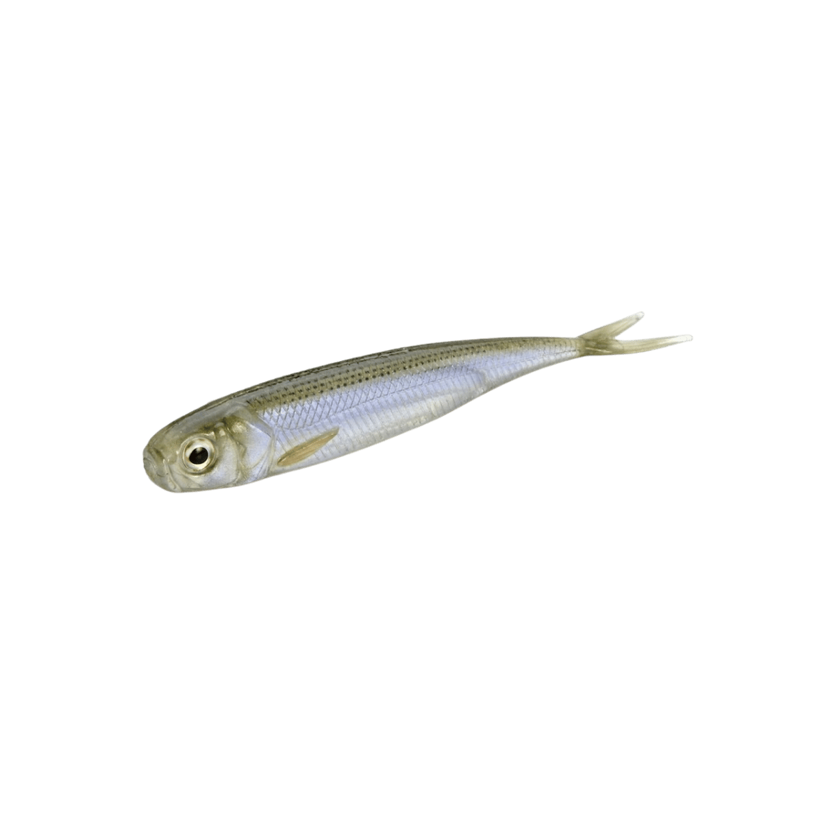 RAID JAPAN FISH ROLLER FWAKASAGI IMAGE