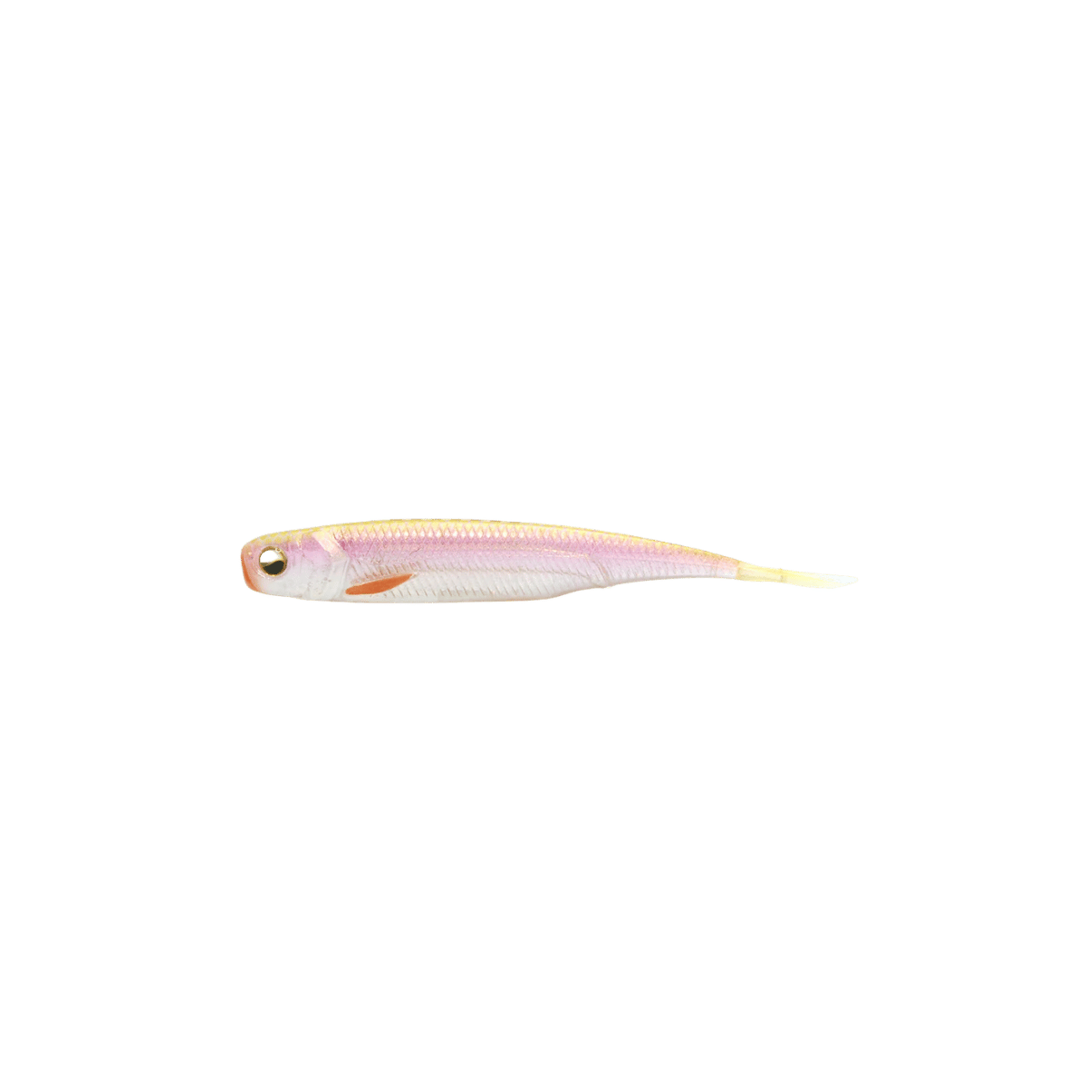 RAID JAPAN FISH ROLLER FS JEWEL WAKASAGI IMAGE