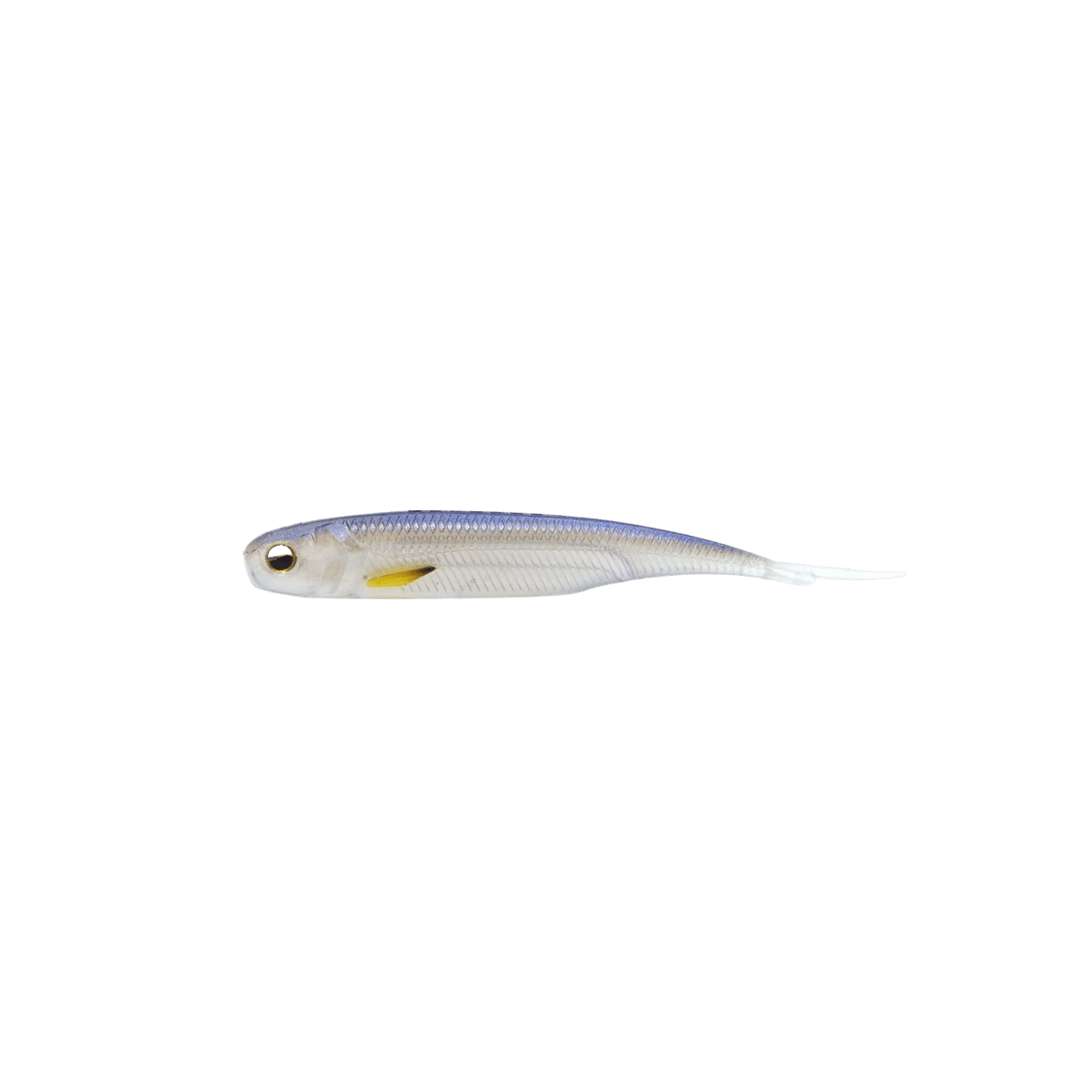 RAID JAPAN FISH ROLLER FS LIVE FISH IMAGE
