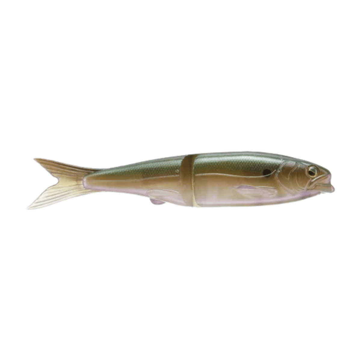 RAID JAPAN OSAKANA SLIDE 170MM SWIMBAIT THE BAIT
