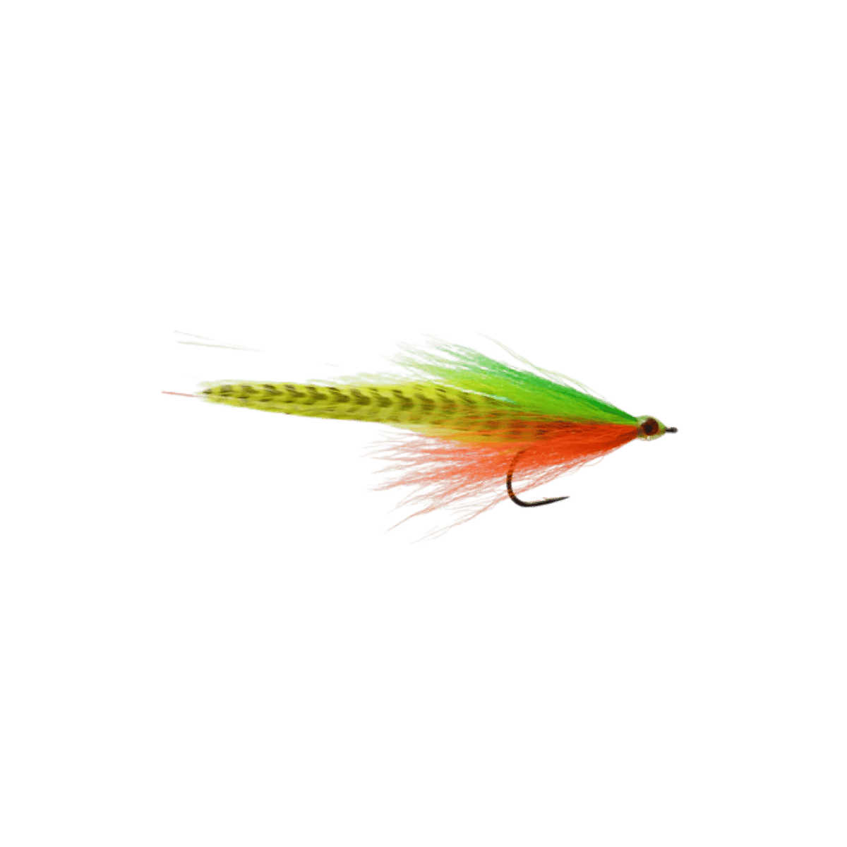 RAINY`S LEFTY'S PREDATOR DECEIVER FIRETIGER