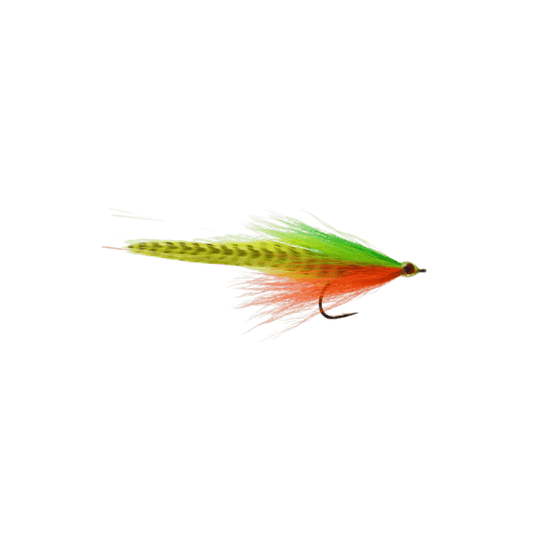 RAINY`S LEFTY'S PREDATOR DECEIVER FIRETIGER