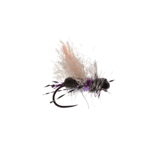 RAINY`S MASON'S BANT FM BLACK PURPLE