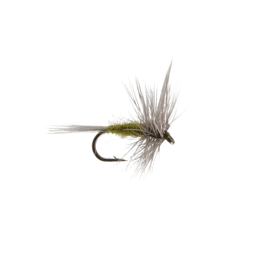 RAINY`S BLUE WINGED OLIVE - 14"