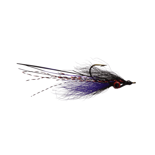 RAINY`S CLOUSER'S DARTER - BLACK/PURPLE SIZE 8"