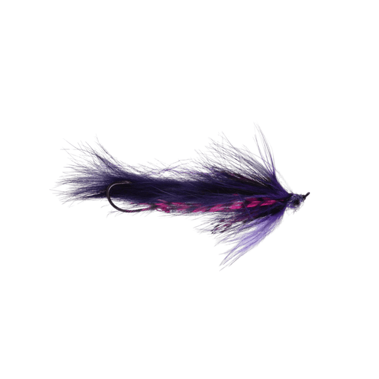 RAINY`S COTTRELL'S THE SEARCHER - PURPLE/PINK