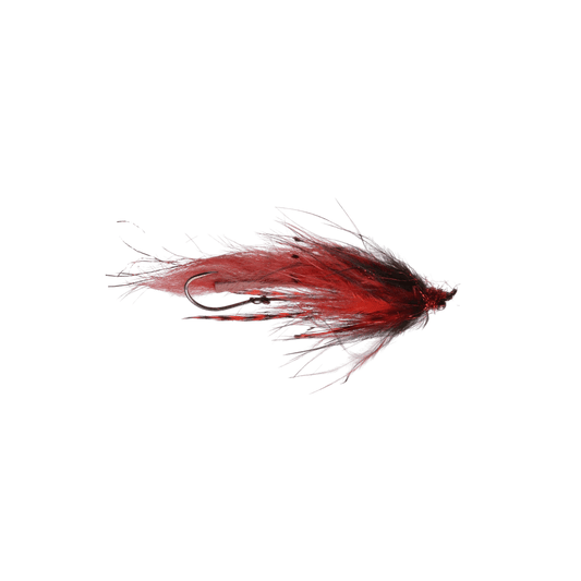 RAINY`S COTTRELL'S THE SEARCHER - RED