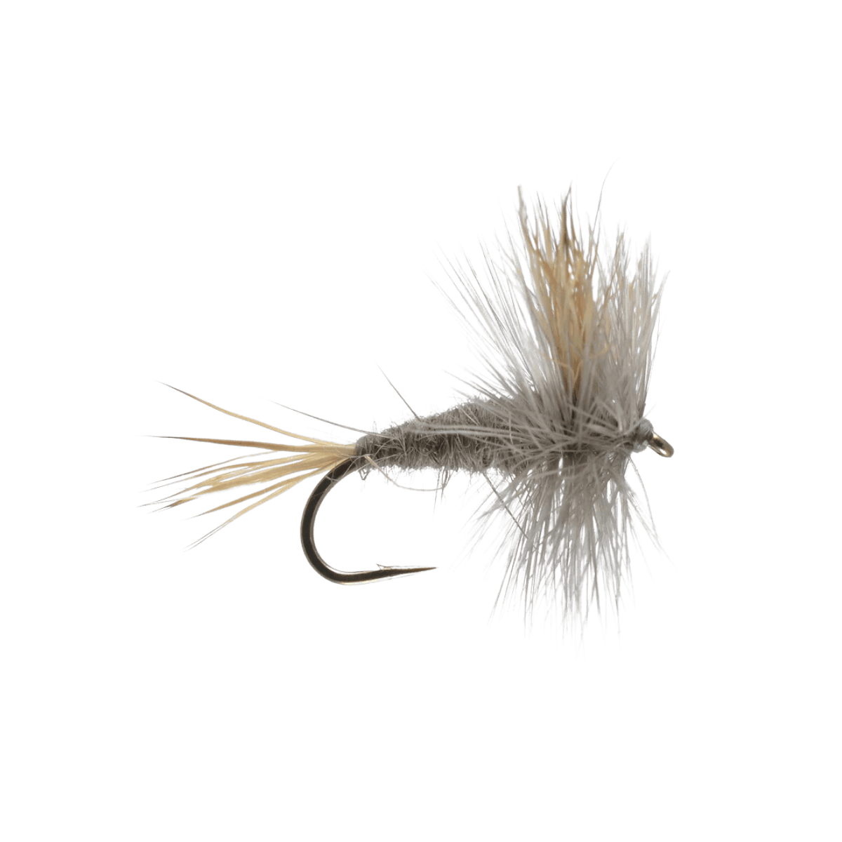 RAINY`S GRAY WULFF - GRAY SIZE 14"