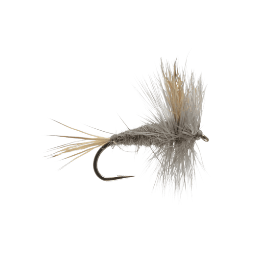 RAINY`S GRAY WULFF - GRAY SIZE 14"