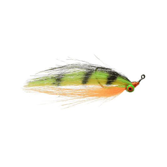 RAINY`S J'S UNSUPERVISED MINOR - FIRETIGER 6"