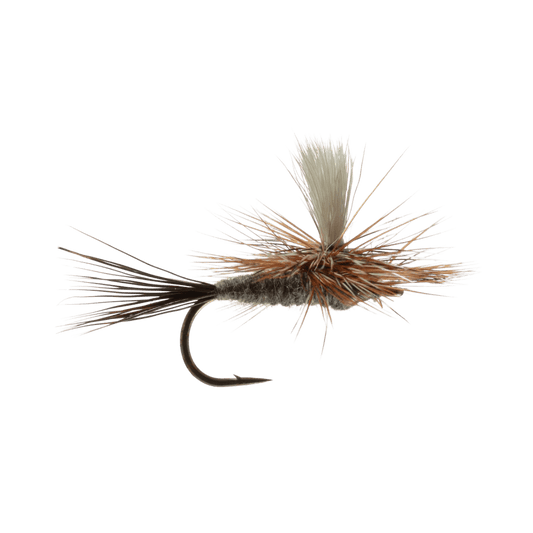 RAINY`S PARACHUTE ADAMS -  SIZE 14"