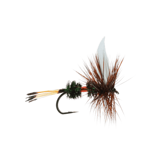 RAINY`S ROYAL COACHMAN - SIZE 16"