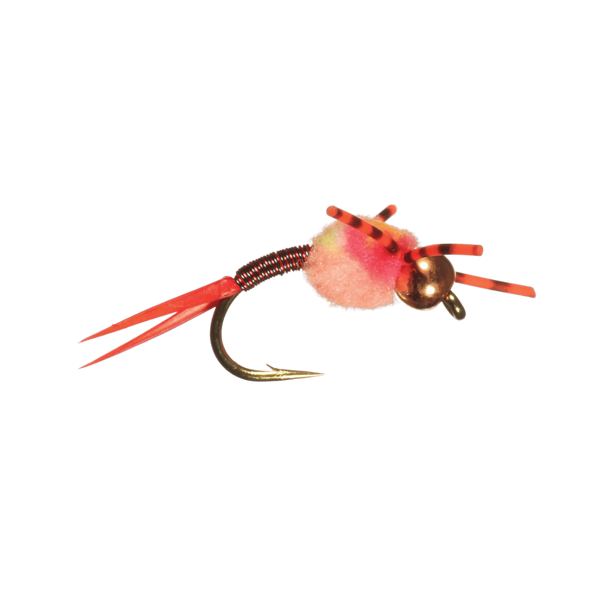 RAINY`S SATKOWSKI'S COPPER SPAWN - CLOWN