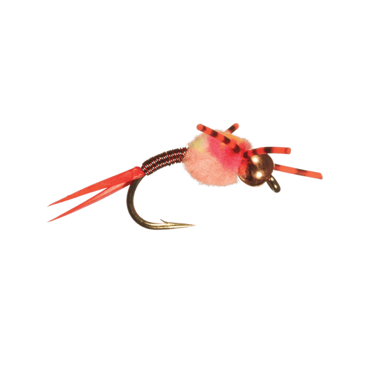 RAINY`S SATKOWSKI'S COPPER SPAWN - CLOWN
