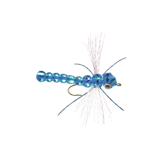 RAINY`S WHITLOCK'S GORILLA DAMSEL/DRAG - BLUE SIZE 2"