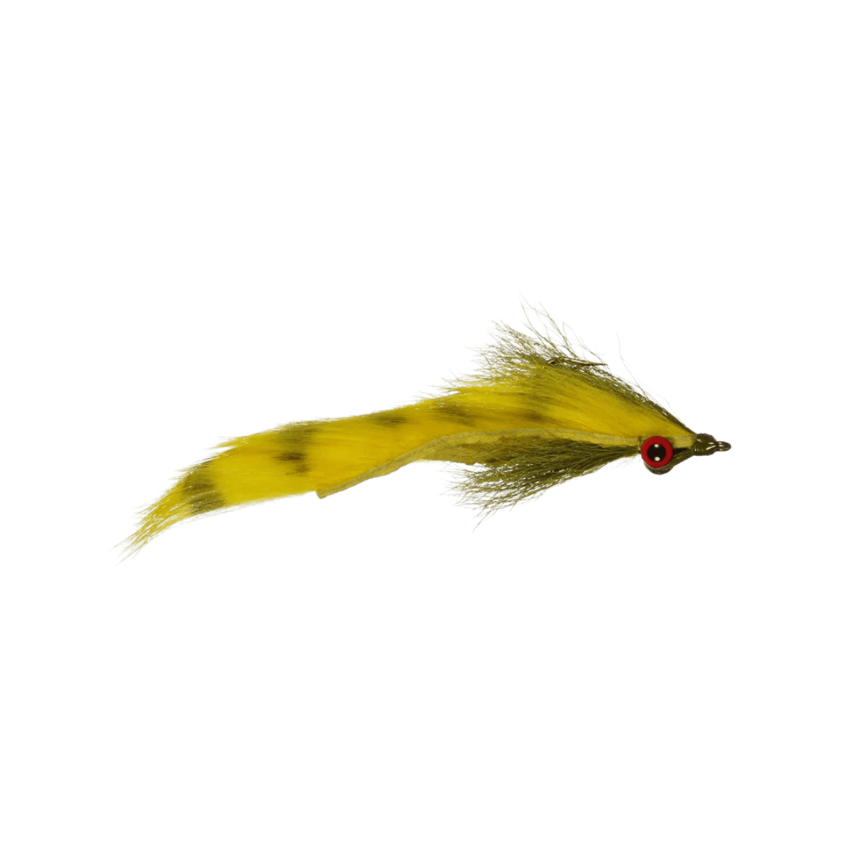 RAINY`S CLOUSER'S BARRED MAD TOM - YELLOW/OLIVE SIZE 4"