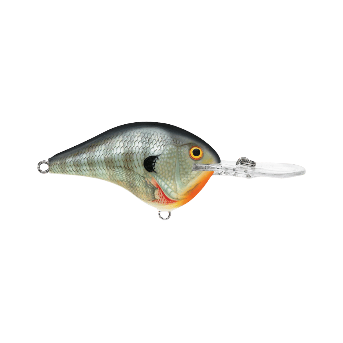 RAPALA DIVES-TO 12' BLUEGILL