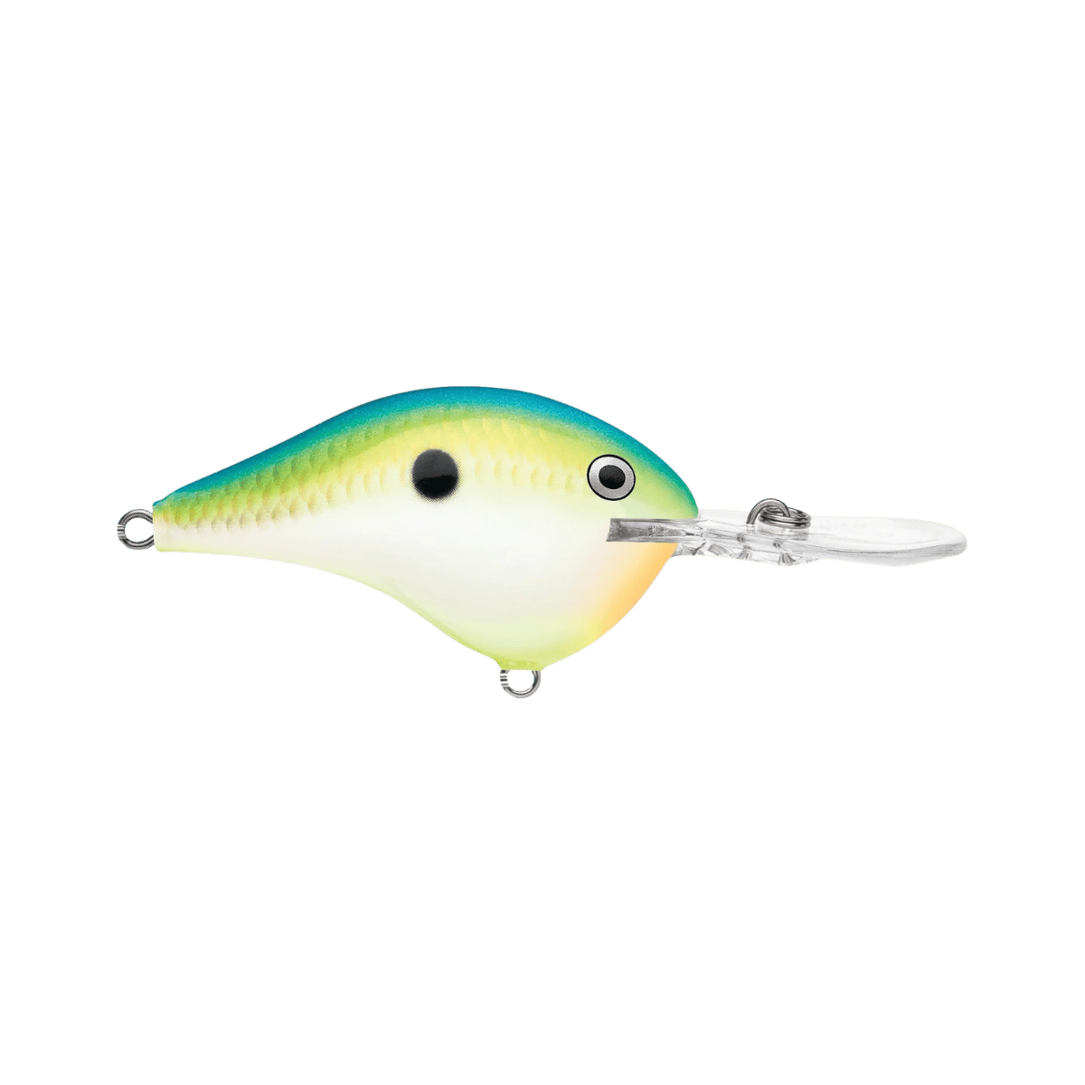RAPALA DIVES-TO 12' CITRUS SHAD