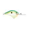 CITRUS SHAD