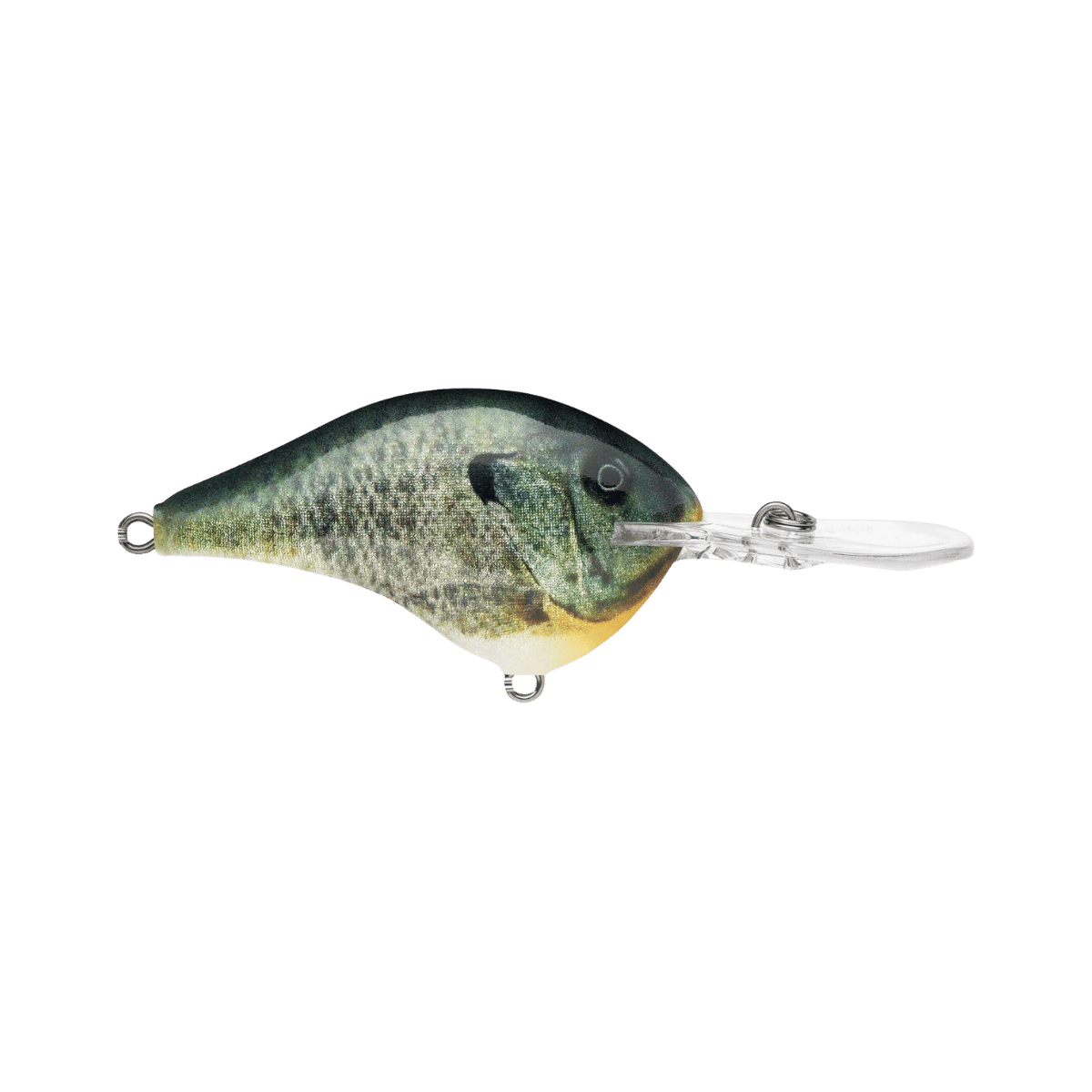 RAPALA DIVES-TO 12' LIVE BLUEGILL