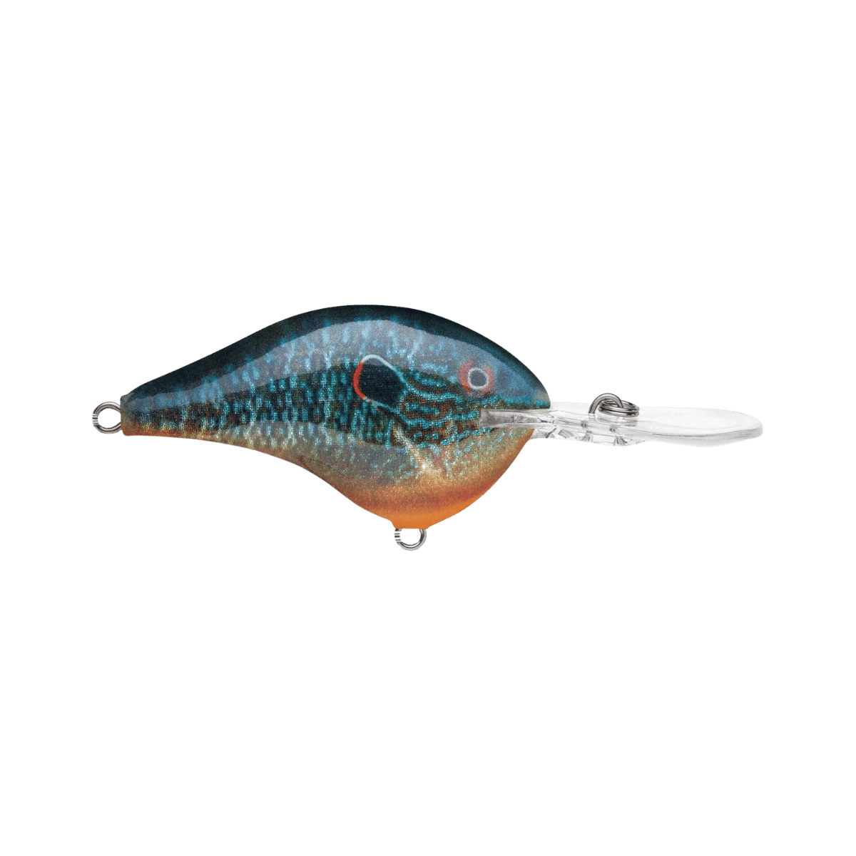 RAPALA DIVES-TO 12' LIVE PUMPKINSEED