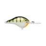 YELLOW PERCH