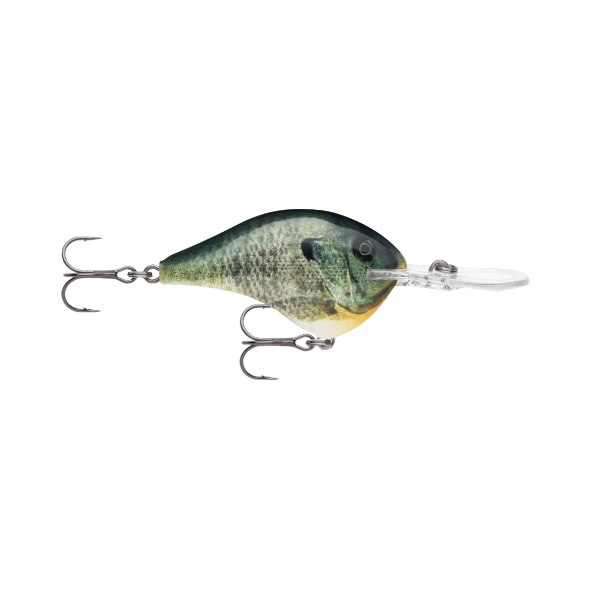 RAPALA DIVES-TO 16', LIVE BLUE GILL COLOR, SIDE ANGLE
