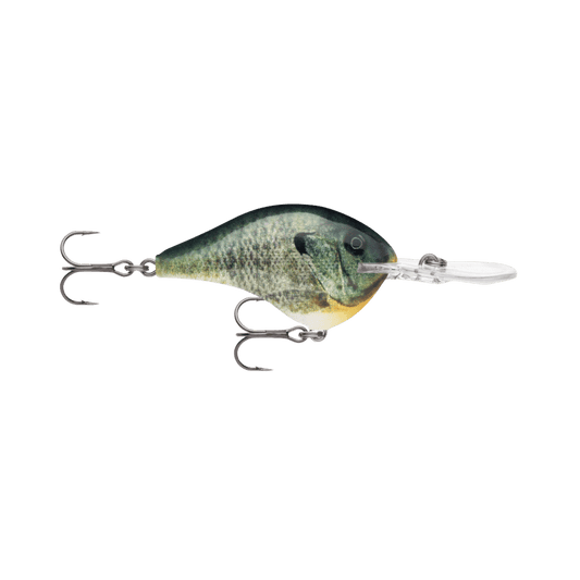 RAPALA DIVES-TO 16', LIVE BLUE GILL COLOR, SIDE ANGLE
