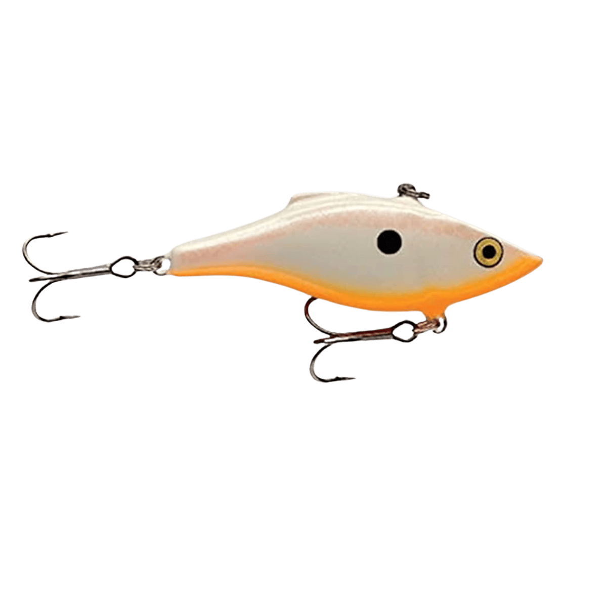 RAPALARATTLIN_RAP05-BONEORANGEBELLY FRONT