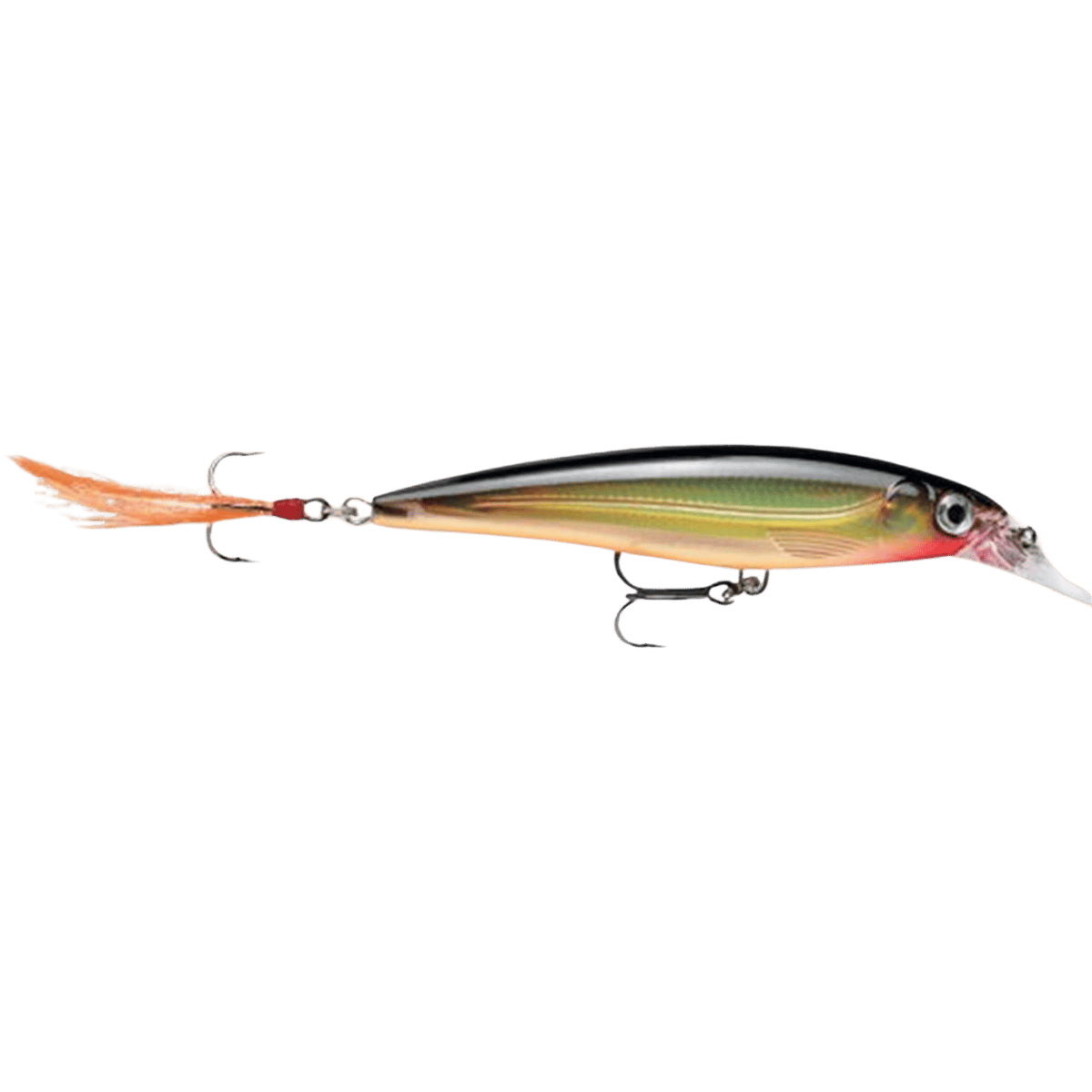 RAPALA X-RAP JERKBAIT 10 - GOLD FRONT