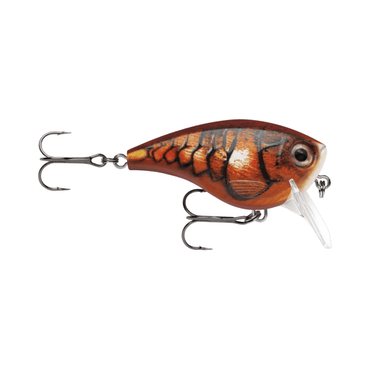 RAPALA BALSA XTREME 2-1/2" BLAZE MID BRAT 05