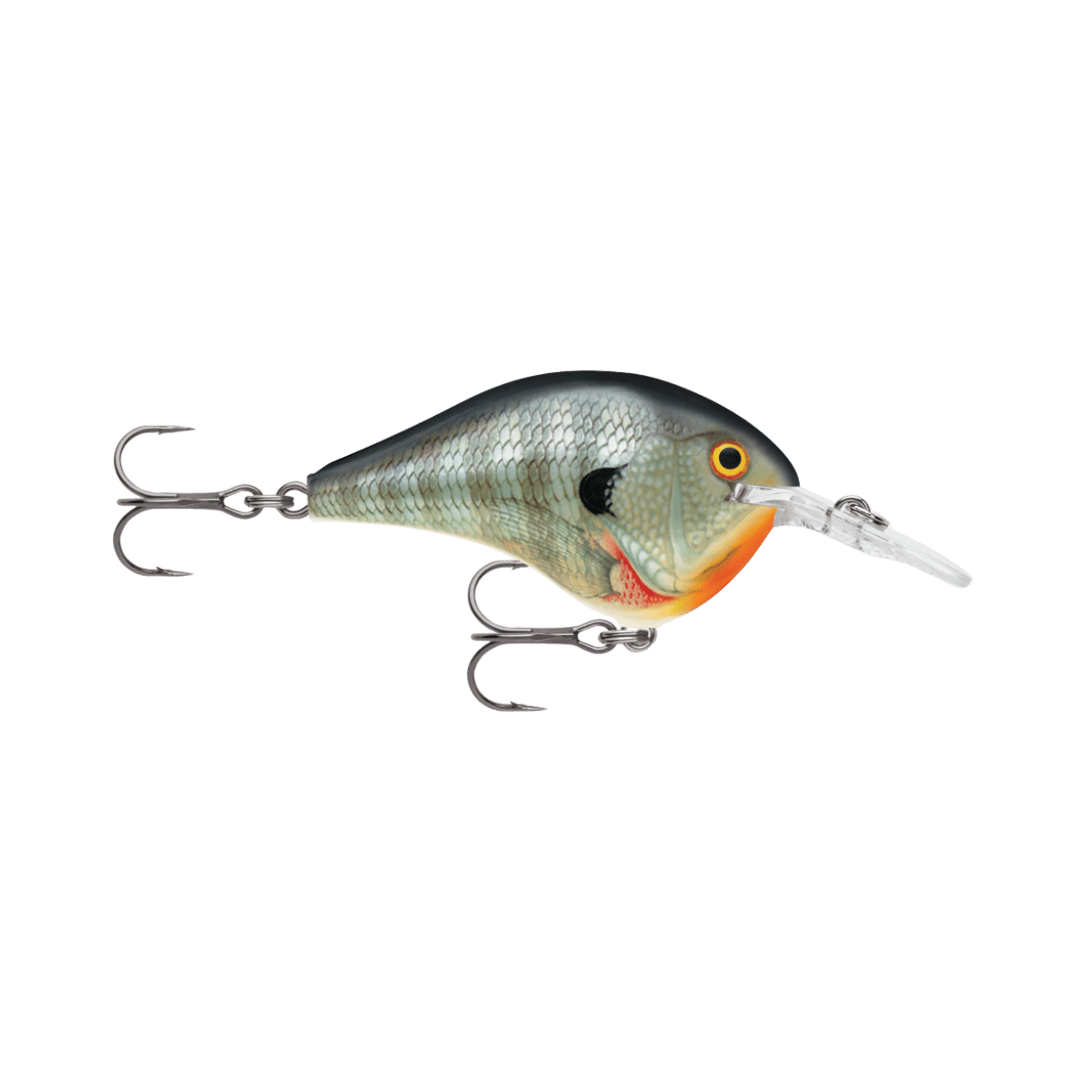 RAPALA 2" DIVES-TO BLUE GILL