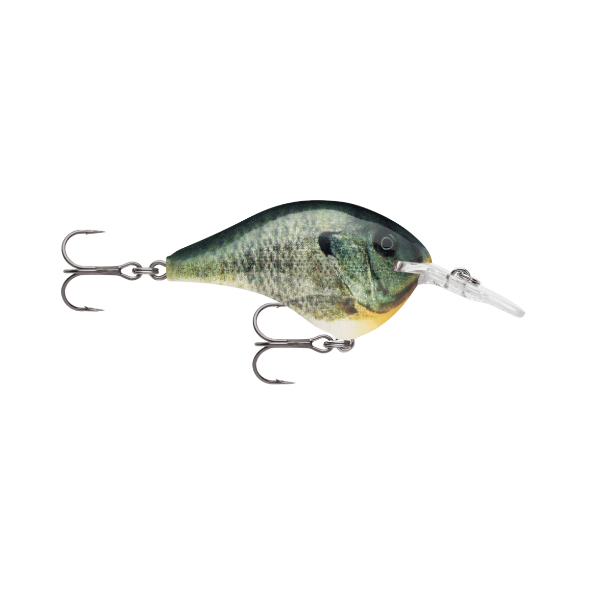 RAPALA 2" DIVES-TO LIVE BLUE GILL