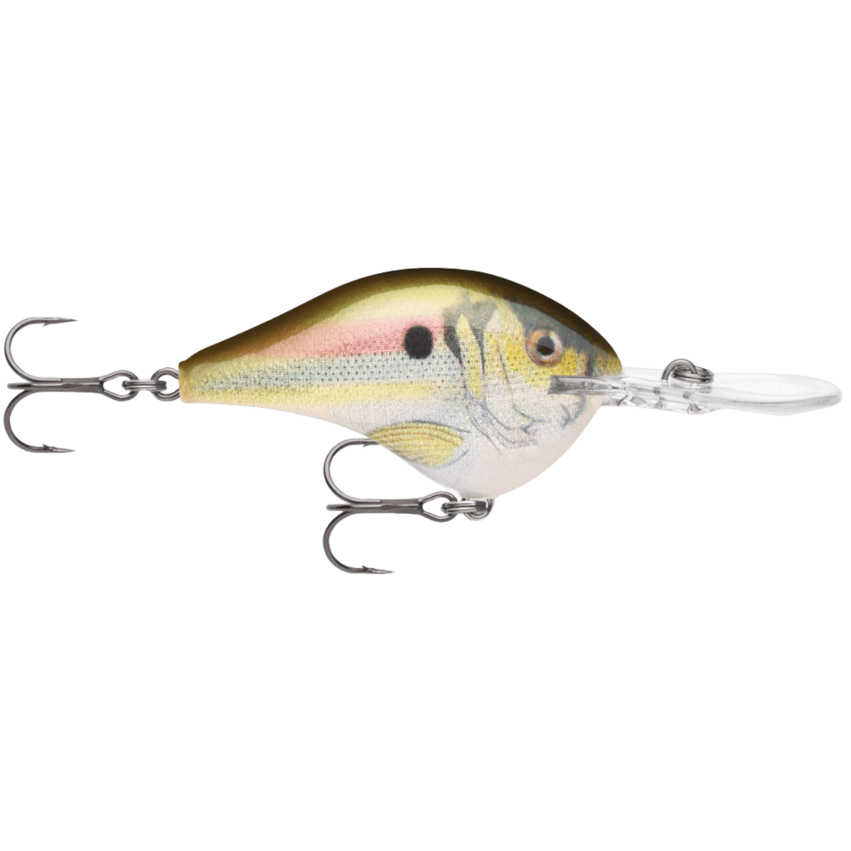 RAPALA DIVES-TO 10' 2-1/4IN  /5OZ -  LIVE RIVER SHAD_SIDE ANGLE