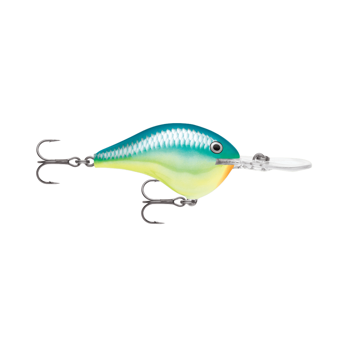 RAPALA DIVES-TO 2-3/4" CARIBBEAN SHAD 16'
