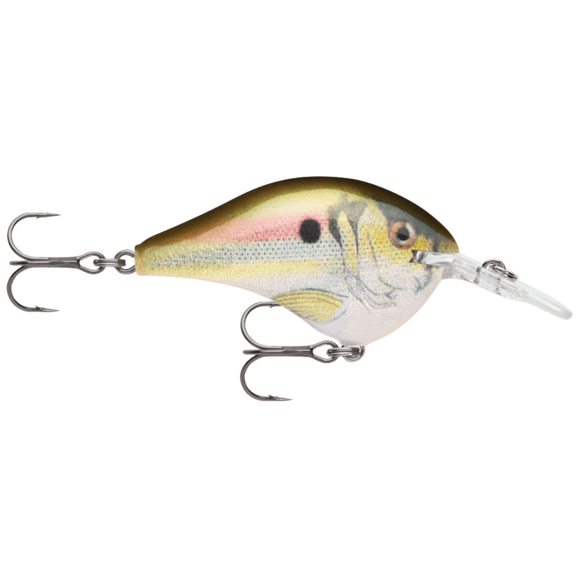 RAPALA DIVES-TO 6' 2IN  3/8OZ - LIVE RIVER SHAD