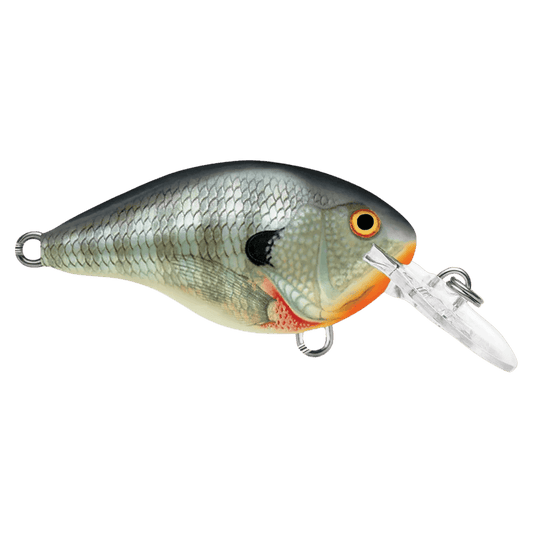 RAPALA DT6 SERIES CRANKBAITS - BLUEGILL FRONT