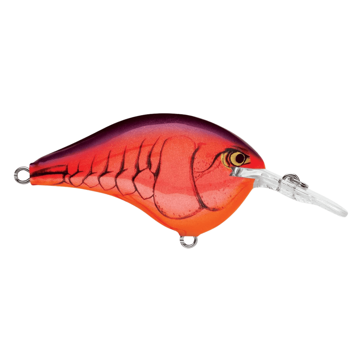 RAPALA DT6 SERIES CRANKBAITS - DEMON FRONT
