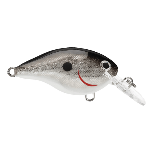 RAPALA DT6 SERIES CRANKBAITS - SILVER FRONT