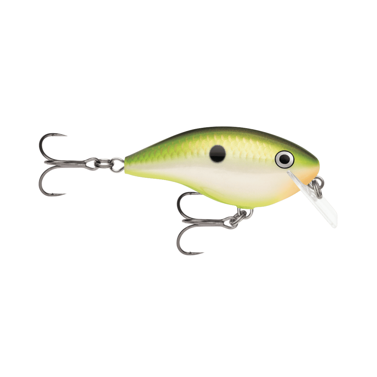 RAPALA OTT'S GARAGE 2-1/2" BRUISED CITRUS SHAD ROCCO 5