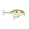 BRS CITRUS SHAD