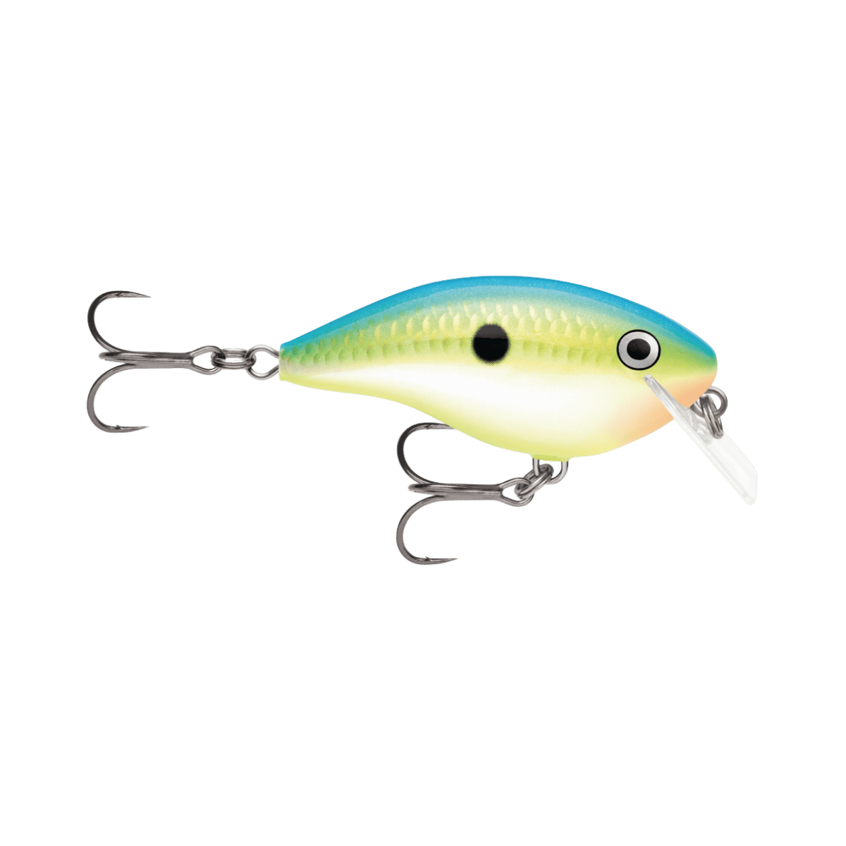 RAPALA OTT'S GARAGE 2-1/2" CITRUS SHAD ROCCO 5