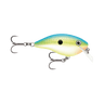 CITRUS SHAD