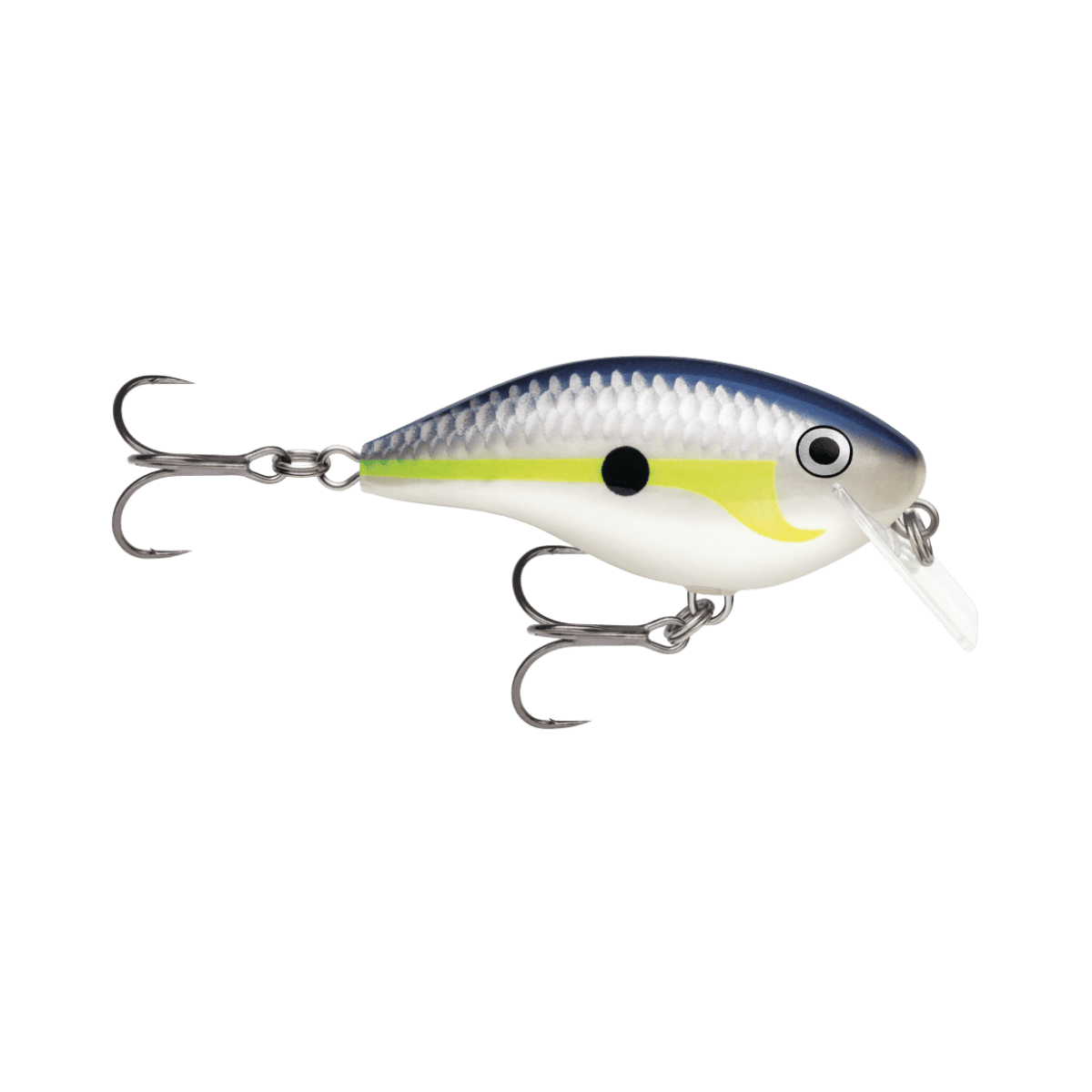 RAPALA OTT'S GARAGE 2-1/2" HELSINKI SHAD ROCCO 5