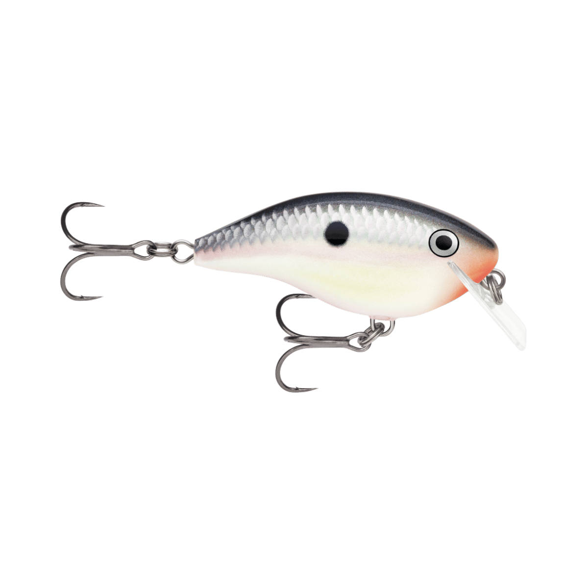 RAPALA OTT'S GARAGE 2-1/2" TUXEDO SHAD ROCCO 5