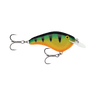 PERCH
