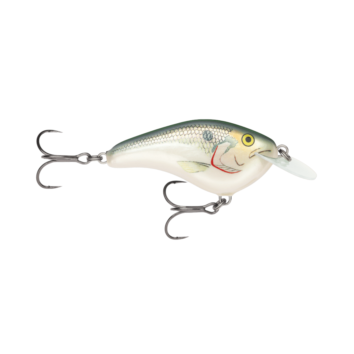 RAPALA OTT'S GARAGE 2-3/4" SHAD SLIM 6