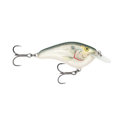 RAPALA OTT'S GARAGE 2-3/4" SHAD SLIM 6
