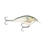 SHAD